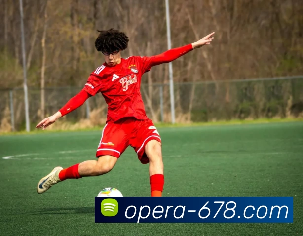 678体育APP 封面图